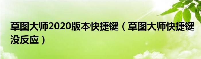 草图大师2020版本快捷键（草图大师快捷键没反应）
