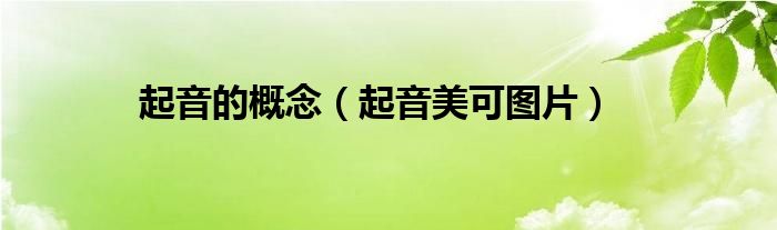 起音的概念（起音美可图片）