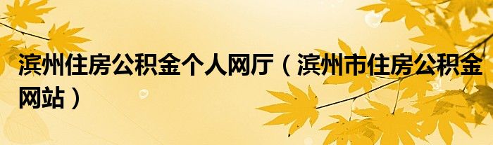 滨州住房公积金个人网厅（滨州市住房公积金网站）
