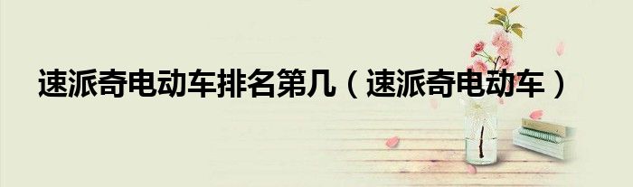 速派奇电动车排名第几（速派奇电动车）