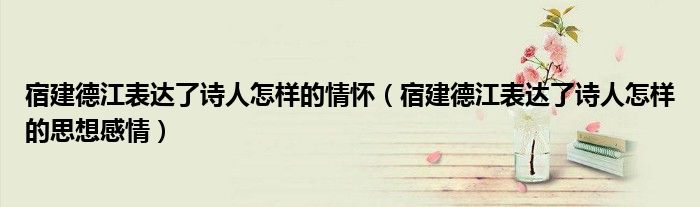 宿建德江表达了诗人怎样的情怀（宿建德江表达了诗人怎样的思想感情）