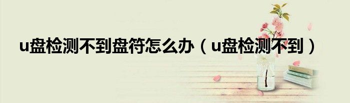 u盘检测不到盘符怎么办（u盘检测不到）