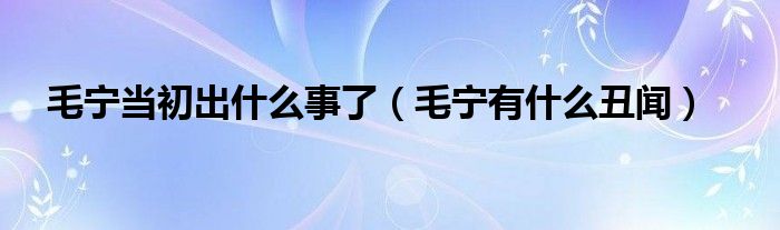 毛宁当初出什么事了（毛宁有什么丑闻）