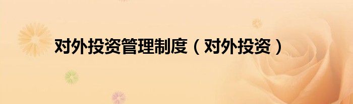 对外投资管理制度（对外投资）