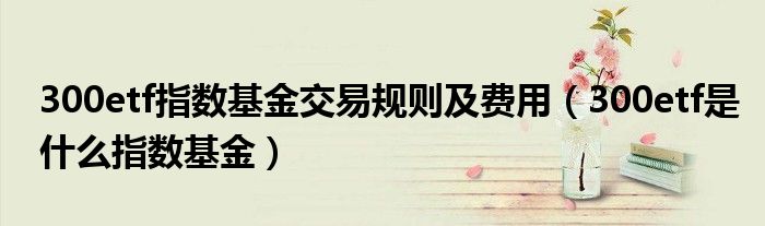 300etf指数基金交易规则及费用（300etf是什么指数基金）