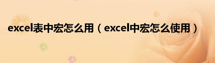excel表中宏怎么用（excel中宏怎么使用）