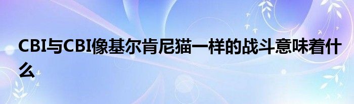 CBI与CBI像基尔肯尼猫一样的战斗意味着什么