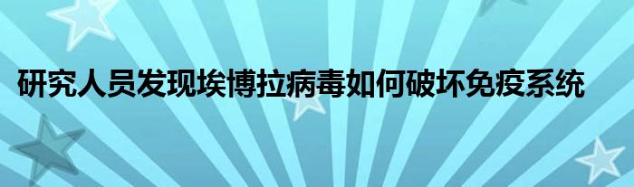 研究人员发现埃博拉病毒如何破坏免疫系统