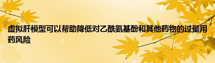 虚拟肝模型可以帮助降低对乙酰氨基酚和其他药物的过量用药风险