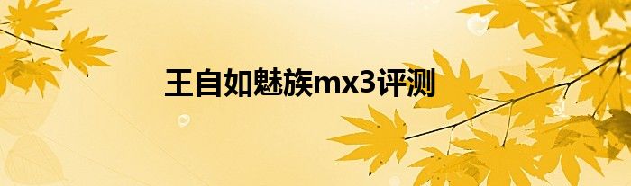 王自如魅族mx3评测
