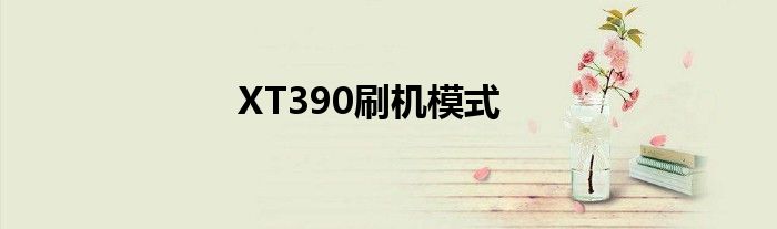 XT390刷机模式