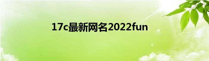 17c最新网名2022fun