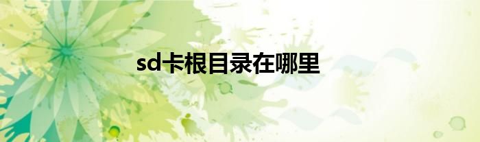 sd卡根目录在哪里