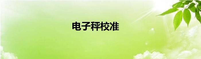 电子秤校准