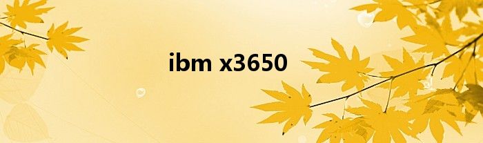 ibm x3650