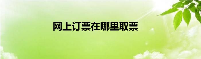 网上订票在哪里取票