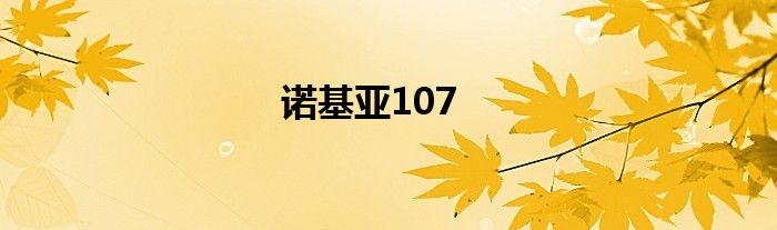 诺基亚107