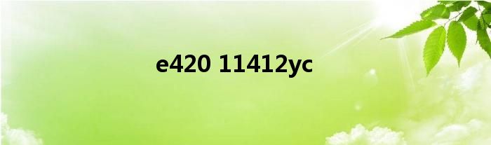 e420 11412yc