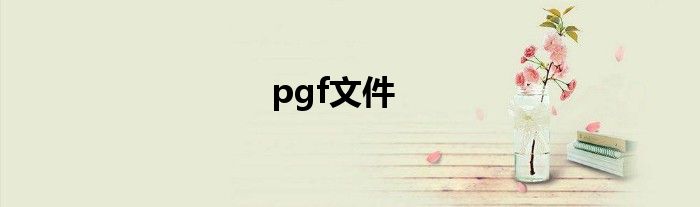 pgf文件