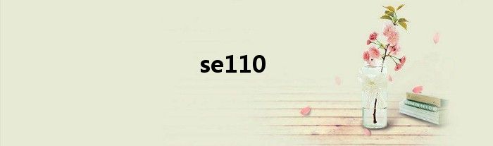 se110