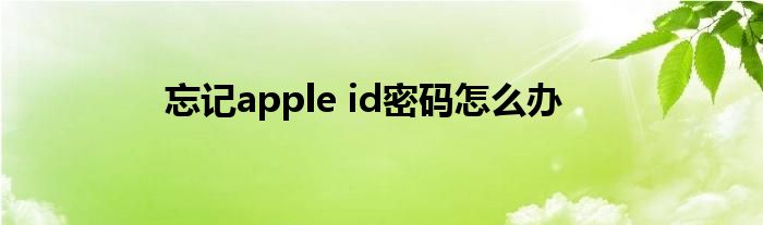 忘记apple id密码怎么办