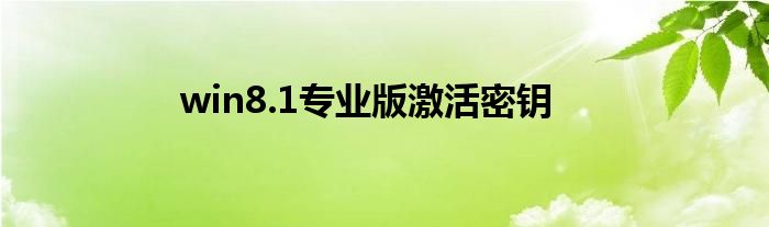 win8.1专业版激活密钥
