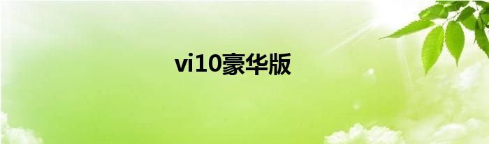 vi10豪华版