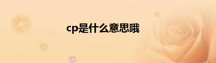 cp是什么意思哦