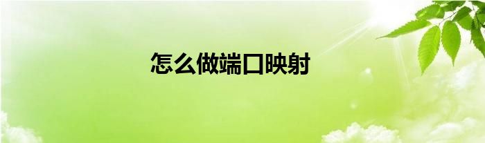怎么做端口映射