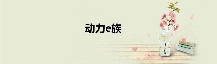 动力e族