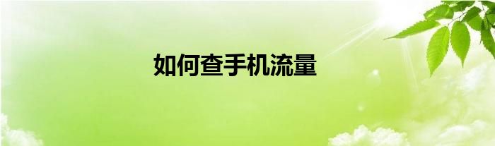 如何查手机流量